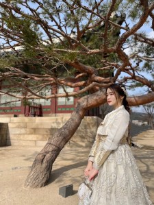 著公主韓服與松樹合影