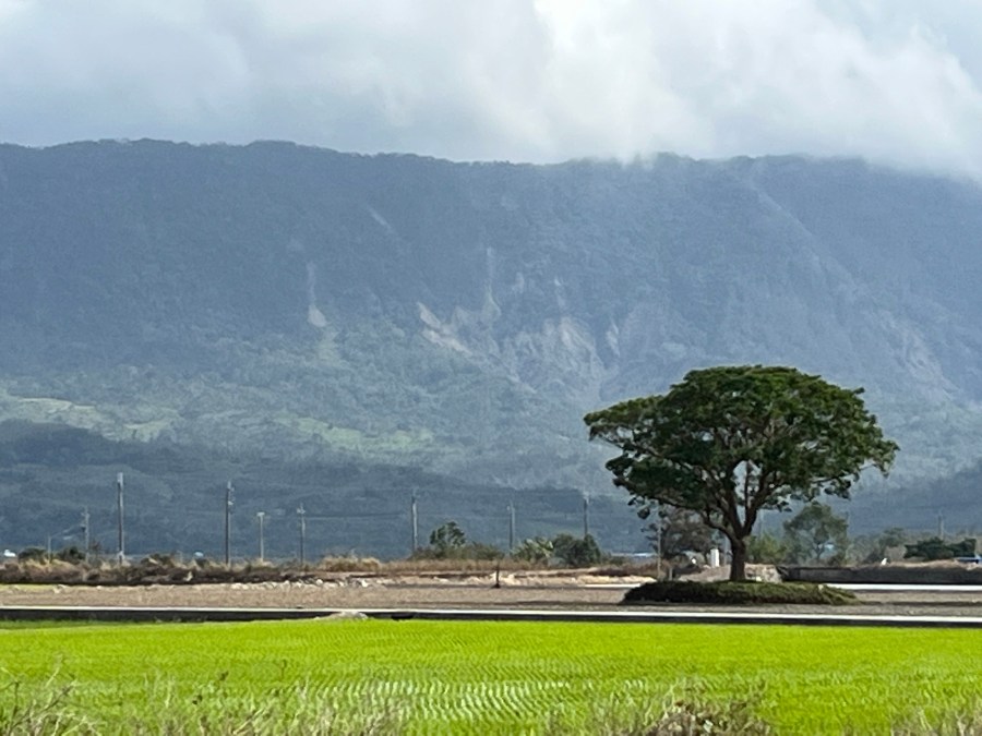 探索台東伯朗大道的魅力 電動車趴趴走之旅