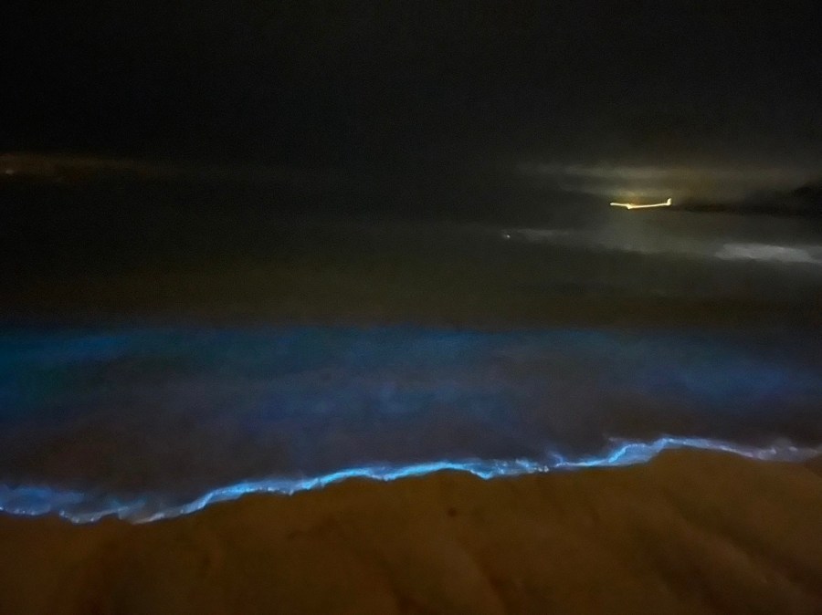 馬祖藍眼淚季節 南竿 9&nbsp;大必訪景點分享