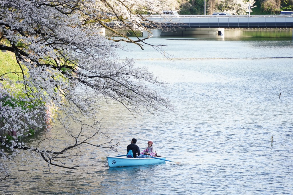 可以自費在小河划船（需要提早預訂）