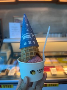 藍莓乳酪冰淇淋